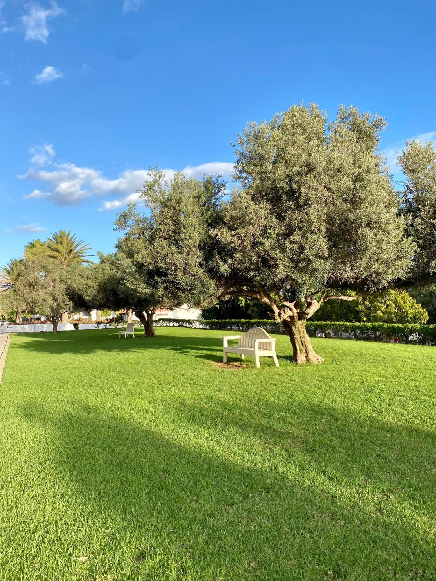 Casa Con Terraza Y Piscina En Pasito Blanco, Cerca De Maspalomas Buitenkant foto